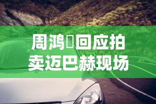 周鸿祎回应拍卖迈巴赫现场交接视频  第1张