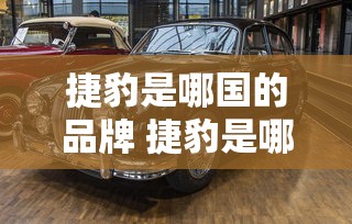 捷豹是哪国的品牌 捷豹是哪个国家的车  第1张
