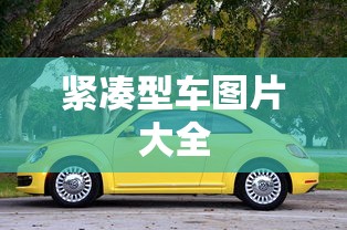 紧凑型车图片大全  第1张