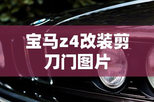 宝马z4改装剪刀门图片  第1张