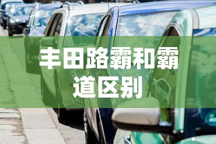 丰田路霸和霸道区别  第1张
