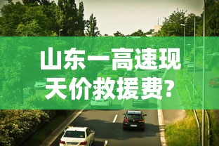 山东一高速现天价救援费?20公里收取11000元!  第1张