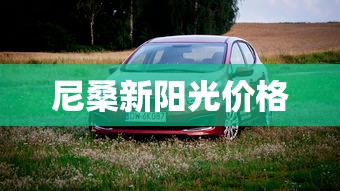 尼桑新阳光价格  第1张