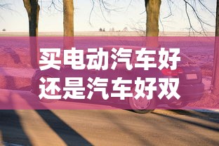 买电动汽车好还是汽车好双色球走势图  第1张