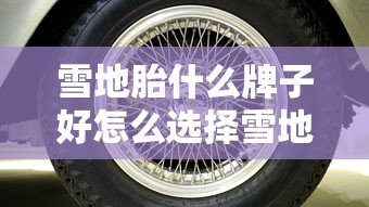 雪地胎什么牌子好怎么选择雪地胎  第1张