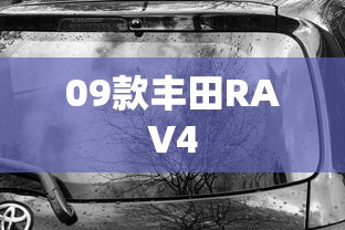 09款丰田RAV4  第1张
