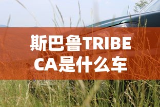 斯巴鲁TRIBECA是什么车  第1张