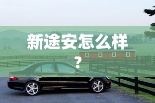 新途安怎么样?  第1张