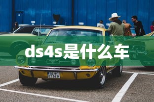 ds4s是什么车  第1张