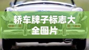 轿车牌子标志大全图片  第1张