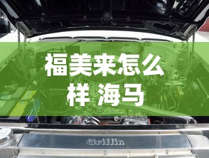 福美来怎么样 海马  第1张