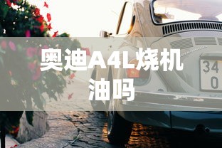 奥迪A4L烧机油吗  第1张