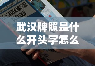 武汉牌照是什么开头字怎么读  第1张