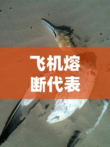 飞机熔断代表着什么意思  第1张