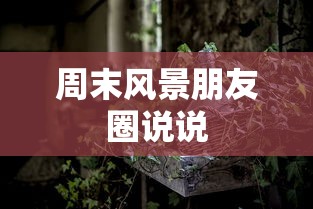 周末风景朋友圈说说  第1张