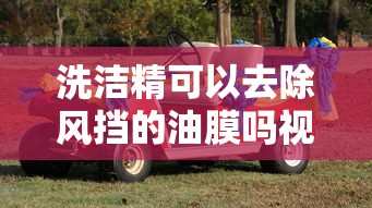 洗洁精可以去除风挡的油膜吗视频  第1张