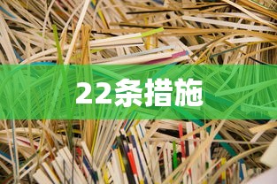 22条措施  第1张