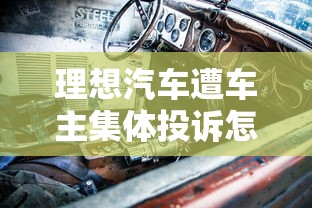 理想汽车遭车主集体投诉怎么办  第1张