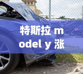 特斯拉 model y 涨价  第1张