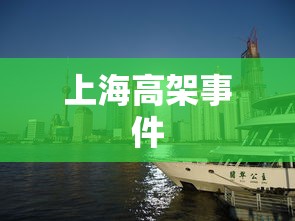 上海高架事件  第1张