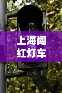 上海闯红灯车祸视频  第1张