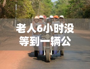 老人6小时没等到一辆公交车怎么办  第1张