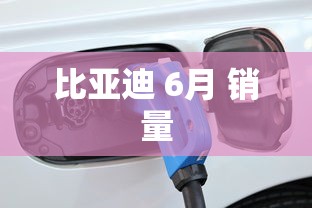 比亚迪 6月 销量  第1张