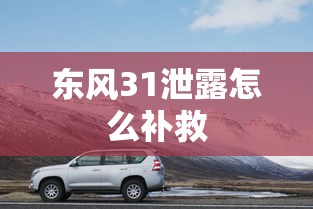东风31泄露怎么补救  第1张