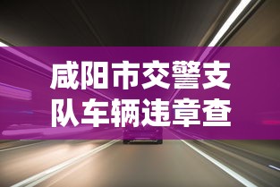 咸阳市交警支队车辆违章查询  第1张