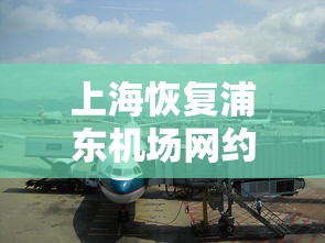 上海恢复浦东机场网约车服务!  第1张
