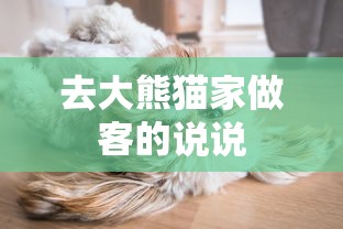 去大熊猫家做客的说说  第1张