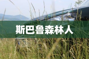 斯巴鲁森林人  第1张