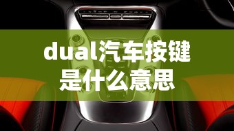 dual汽车按键是什么意思  第1张
