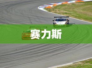 赛力斯  第1张