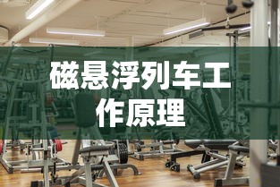 磁悬浮列车工作原理  第1张