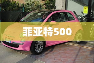 菲亚特500  第1张