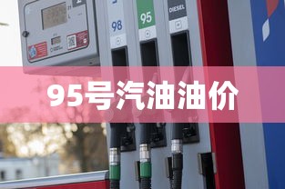 95号汽油油价  第1张