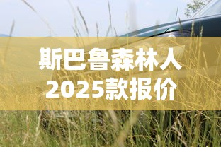 斯巴鲁森林人2025款报价及图片  第1张