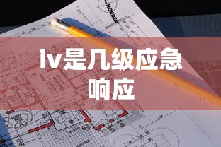 iv是几级应急响应  第1张