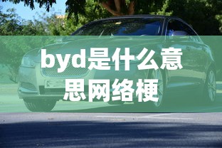 byd是什么意思网络梗  第1张