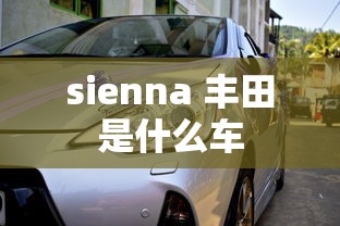 sienna 丰田是什么车  第1张