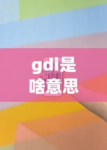gdi是啥意思  第1张
