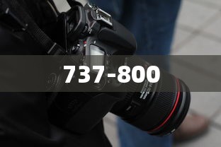 737-800  第1张