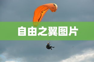 自由之翼图片  第1张