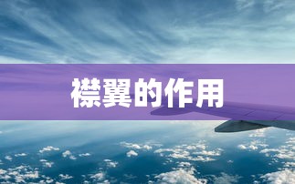 襟翼的作用  第1张