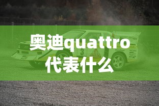 奥迪quattro代表什么  第1张