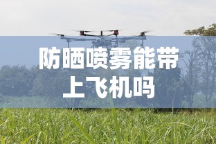 防晒喷雾能带上飞机吗  第1张