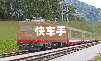 快车手  第1张