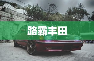路霸丰田  第1张