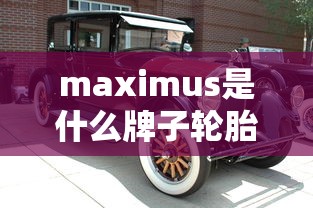 maximus是什么牌子轮胎  第1张